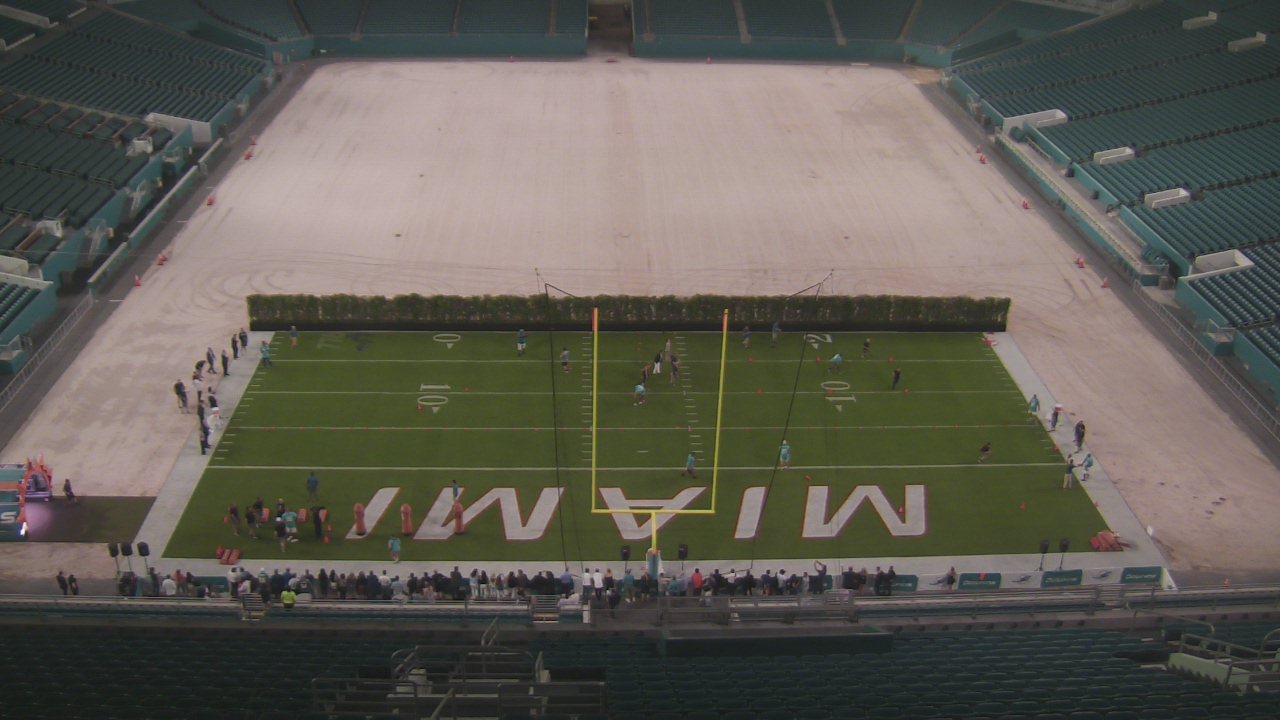 Dolphins Hope Sod Farm Helps Solve Turf Issues At Hard Rock Stadium